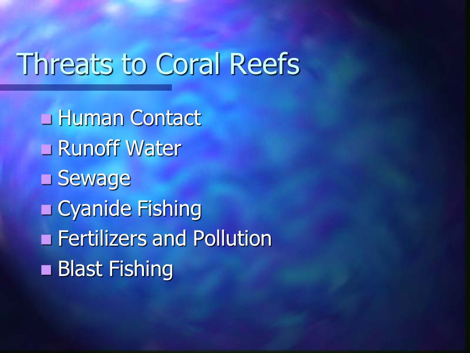 Threats to Coral Reefs Human Contact Human Contact Runoff Water Runoff Water Sewage Sewage Cyanide Fishing Cyanide Fishing Fertilizers and Pollution Fertilizers and Pollution Blast Fishing Blast Fishing