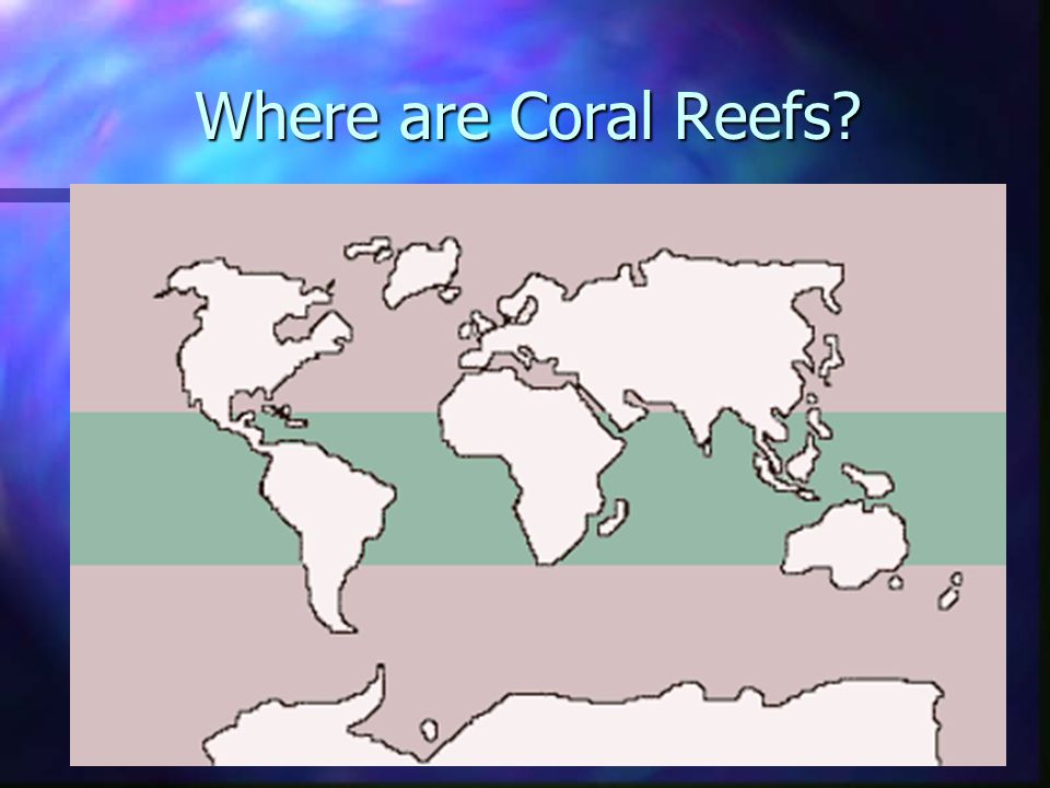 Where are Coral Reefs