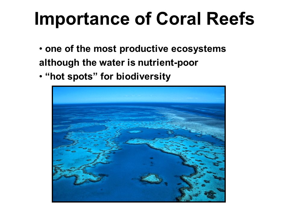 Importance of Coral Reefs one of the most productive ecosystems although the water is nutrient-poor hot spots for biodiversity