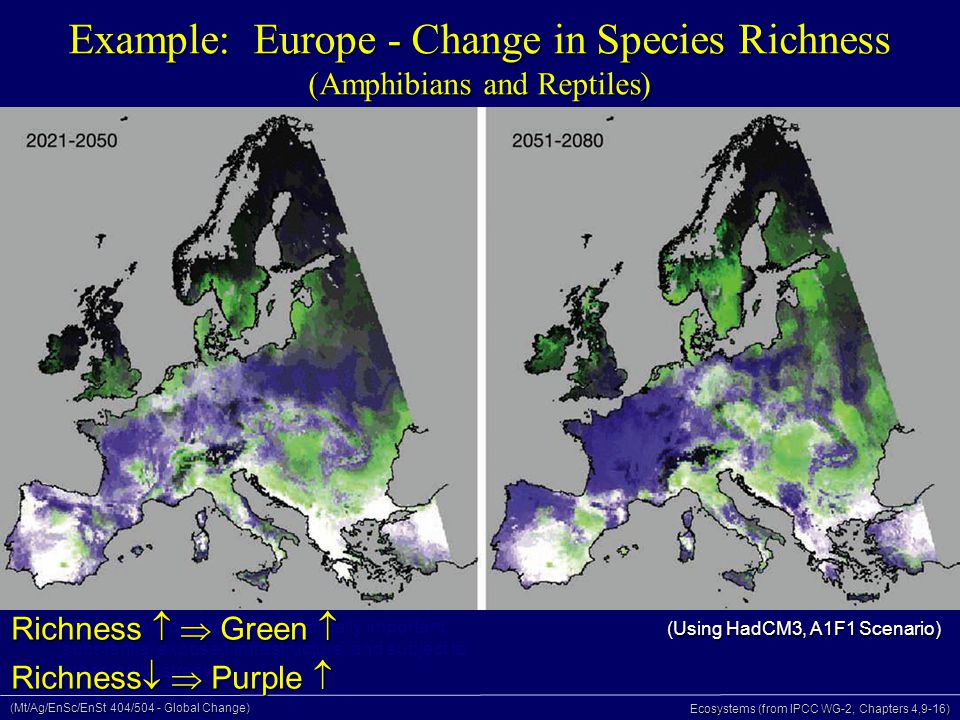 (Mt/Ag/EnSc/EnSt 404/504 - Global Change) Ecosystems (from IPCC WG-2, Chapters 4,9-16) Example: Europe - Change in Species Richness (Amphibians and Reptiles) Criteria: large impacts, low adaptive capacity, substantial population, economically important, substantial exposed infrastructure, and subject to other major stresses (Using HadCM3, A1F1 Scenario) Richness   Green  Richness   Purple 