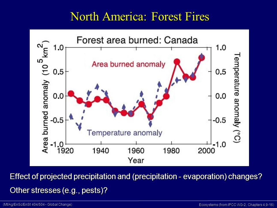 (Mt/Ag/EnSc/EnSt 404/504 - Global Change) Ecosystems (from IPCC WG-2, Chapters 4,9-16) North America: Forest Fires Effect of projected precipitation and (precipitation - evaporation) changes.