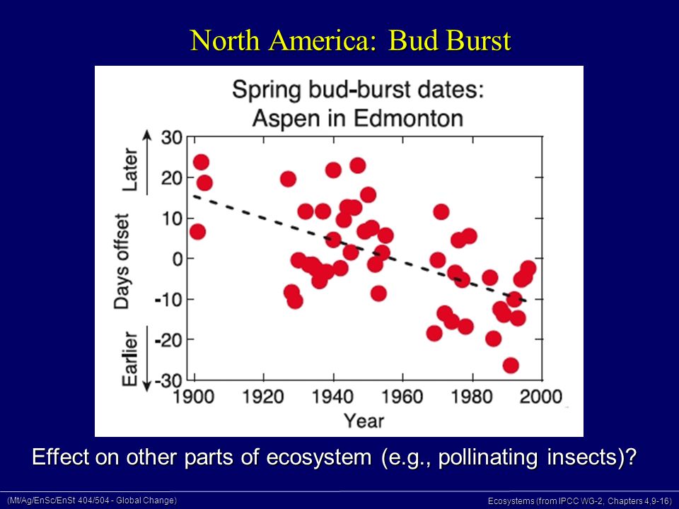 (Mt/Ag/EnSc/EnSt 404/504 - Global Change) Ecosystems (from IPCC WG-2, Chapters 4,9-16) North America: Bud Burst Effect on other parts of ecosystem (e.g., pollinating insects)