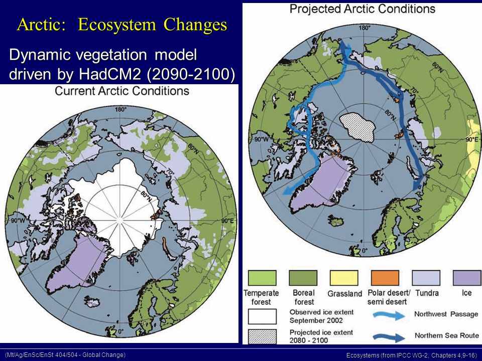 (Mt/Ag/EnSc/EnSt 404/504 - Global Change) Ecosystems (from IPCC WG-2, Chapters 4,9-16) Arctic: Ecosystem Changes Dynamic vegetation model driven by HadCM2 ( )