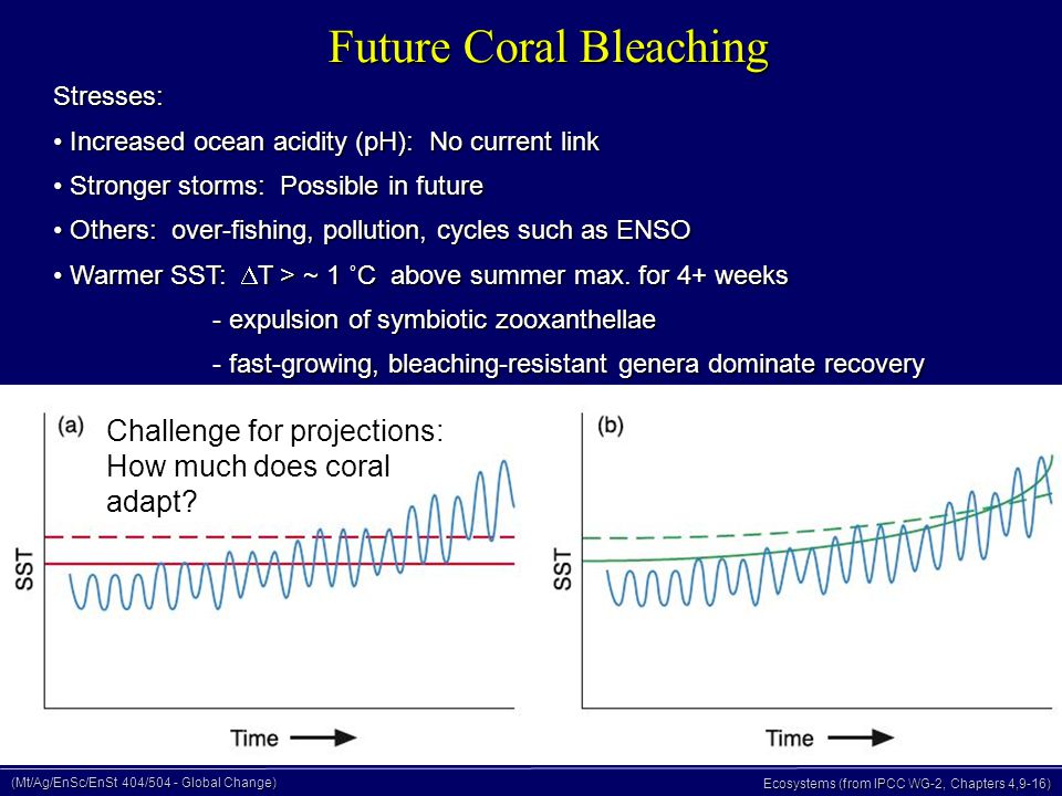 (Mt/Ag/EnSc/EnSt 404/504 - Global Change) Ecosystems (from IPCC WG-2, Chapters 4,9-16) Future Coral Bleaching Stresses: Increased ocean acidity (pH): No current link Increased ocean acidity (pH): No current link Stronger storms: Possible in future Stronger storms: Possible in future Others: over-fishing, pollution, cycles such as ENSO Others: over-fishing, pollution, cycles such as ENSO Warmer SST:  T > ~ 1 ˚C above summer max.