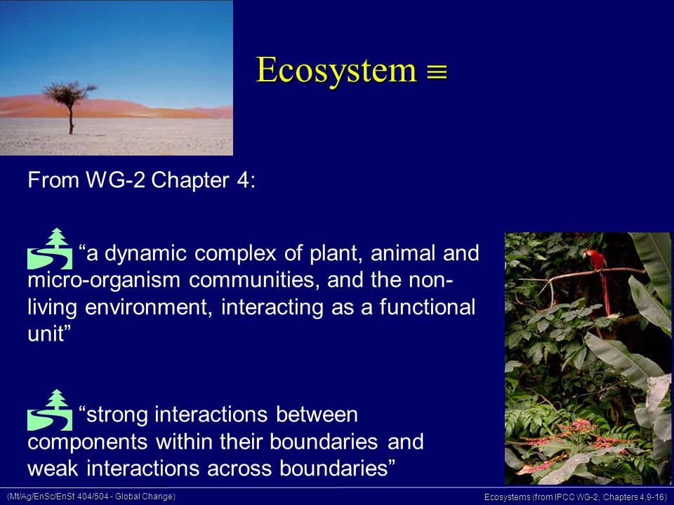 (Mt/Ag/EnSc/EnSt 404/504 - Global Change) Ecosystems (from IPCC WG-2, Chapters 4,9-16) Ecosystem  From WG-2 Chapter 4:  a dynamic complex of plant, animal and micro-organism communities, and the non- living environment, interacting as a functional unit  strong interactions between components within their boundaries and weak interactions across boundaries