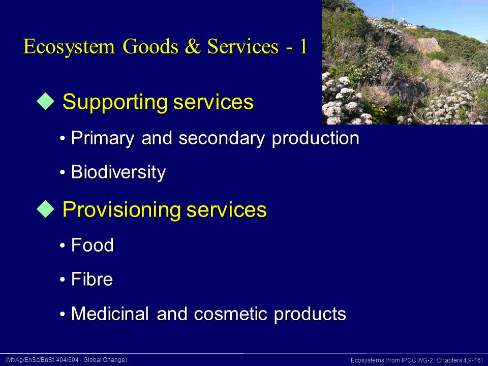 (Mt/Ag/EnSc/EnSt 404/504 - Global Change) Ecosystems (from IPCC WG-2, Chapters 4,9-16) Ecosystem Goods & Services - 1  Supporting services Primary and secondary production Primary and secondary production Biodiversity Biodiversity  Provisioning services Food Food Fibre Fibre Medicinal and cosmetic products Medicinal and cosmetic products