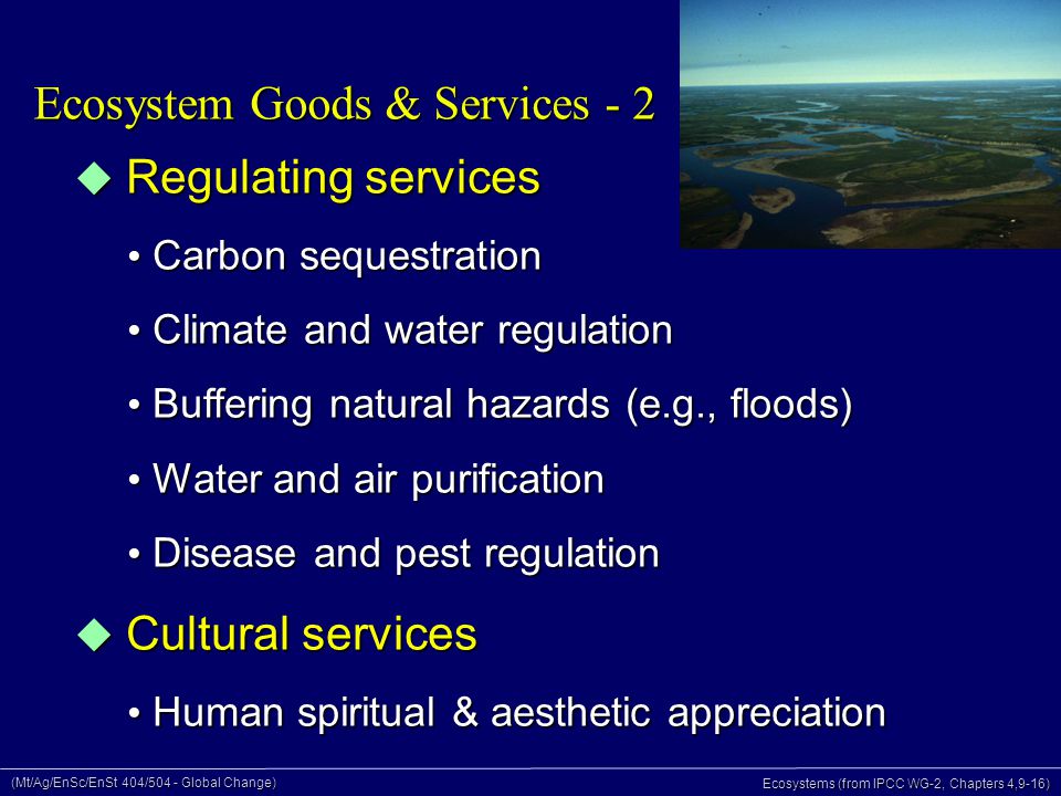 (Mt/Ag/EnSc/EnSt 404/504 - Global Change) Ecosystems (from IPCC WG-2, Chapters 4,9-16) Ecosystem Goods & Services - 2  Regulating services Carbon sequestration Carbon sequestration Climate and water regulation Climate and water regulation Buffering natural hazards (e.g., floods) Buffering natural hazards (e.g., floods) Water and air purification Water and air purification Disease and pest regulation Disease and pest regulation  Cultural services Human spiritual & aesthetic appreciation Human spiritual & aesthetic appreciation