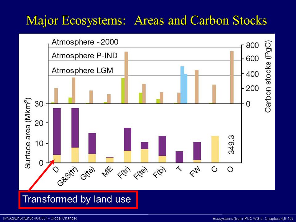 (Mt/Ag/EnSc/EnSt 404/504 - Global Change) Ecosystems (from IPCC WG-2, Chapters 4,9-16) Major Ecosystems: Areas and Carbon Stocks Transformed by land use