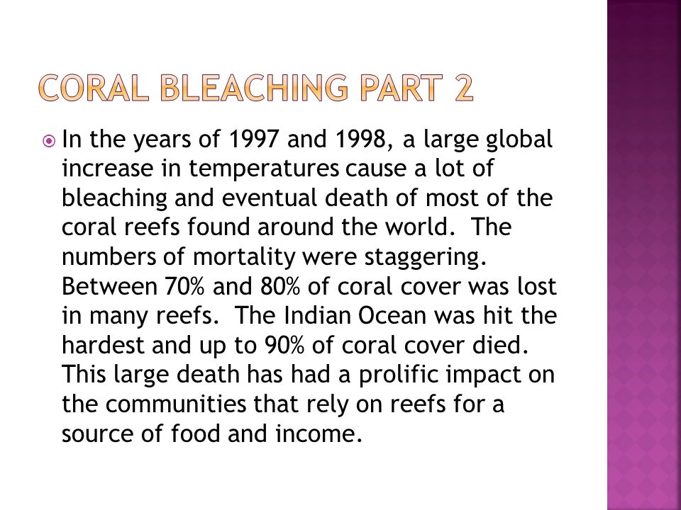  In the years of 1997 and 1998, a large global increase in temperatures cause a lot of bleaching and eventual death of most of the coral reefs found around the world.