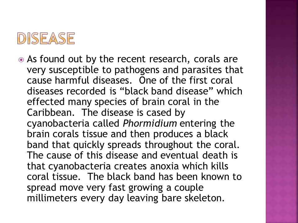  As found out by the recent research, corals are very susceptible to pathogens and parasites that cause harmful diseases.