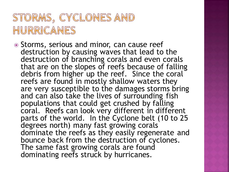  Storms, serious and minor, can cause reef destruction by causing waves that lead to the destruction of branching corals and even corals that are on the slopes of reefs because of falling debris from higher up the reef.