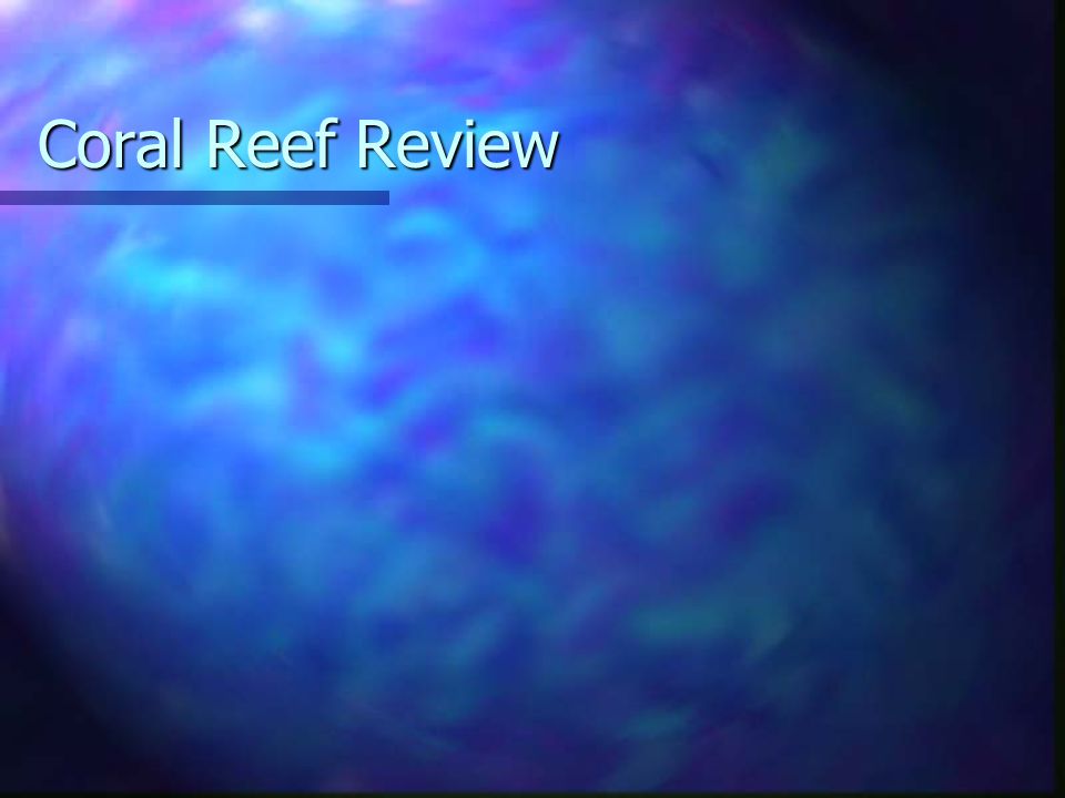 Coral Reef Review