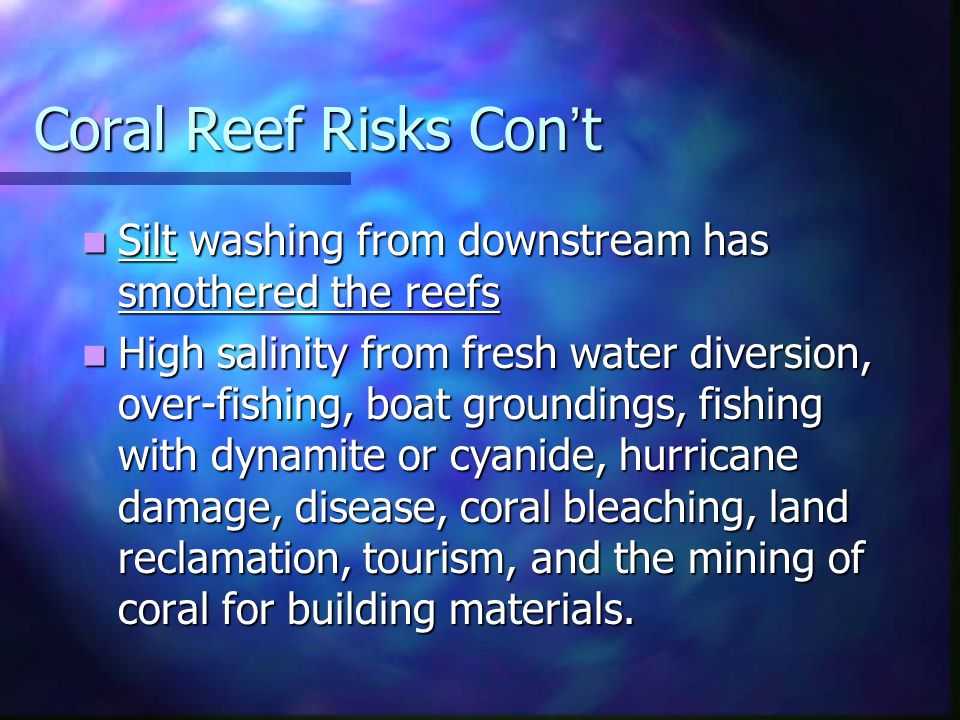 Coral Reef Risks Con’t Silt washing from downstream has smothered the reefs Silt washing from downstream has smothered the reefs High salinity from fresh water diversion, over-fishing, boat groundings, fishing with dynamite or cyanide, hurricane damage, disease, coral bleaching, land reclamation, tourism, and the mining of coral for building materials.
