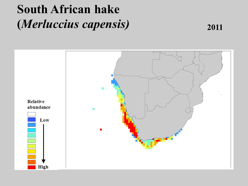2011 Low High Relative abundance South African hake (Merluccius capensis)