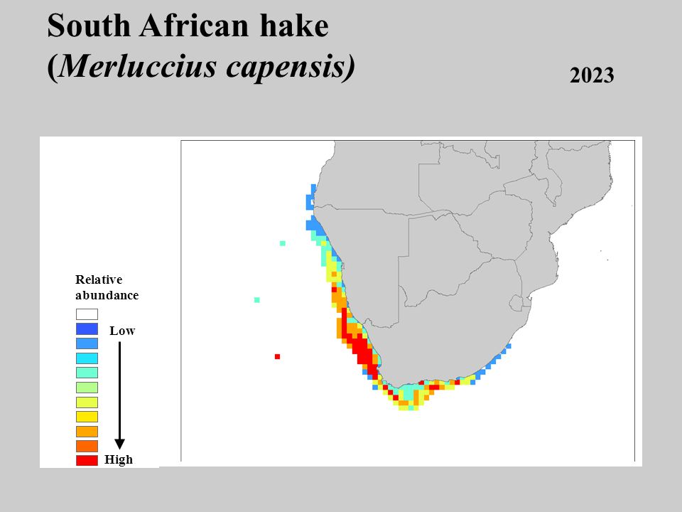 2023 Low High Relative abundance South African hake (Merluccius capensis)