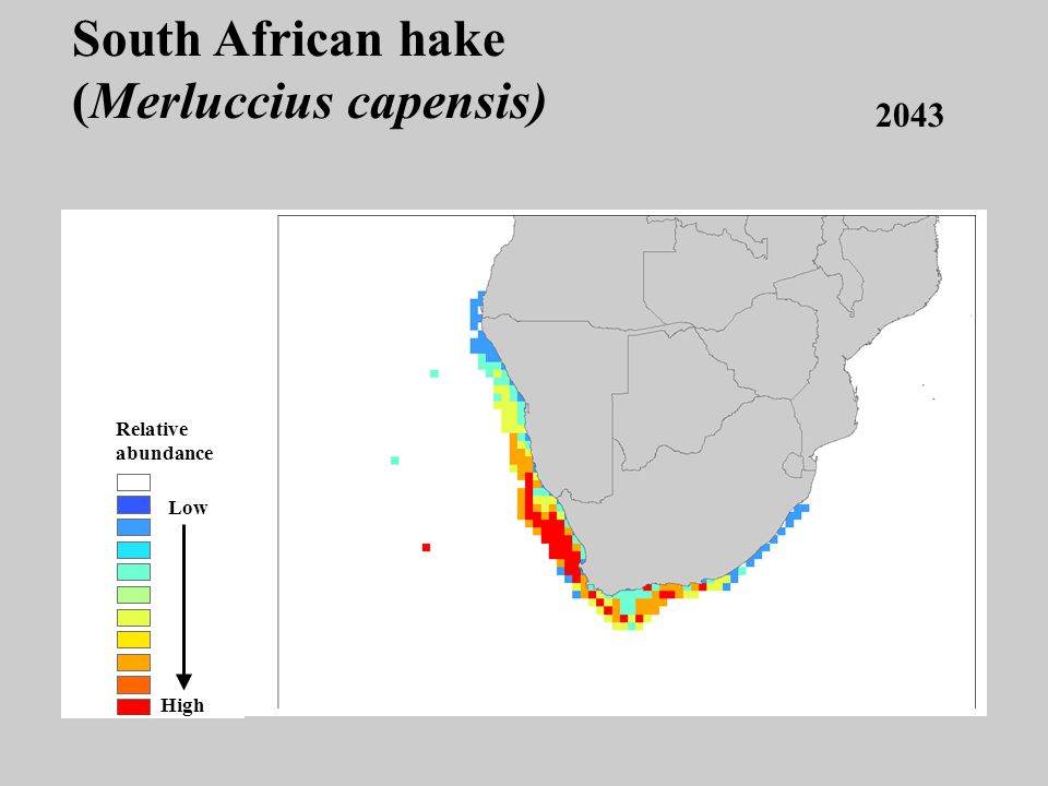 2043 Low High Relative abundance South African hake (Merluccius capensis)