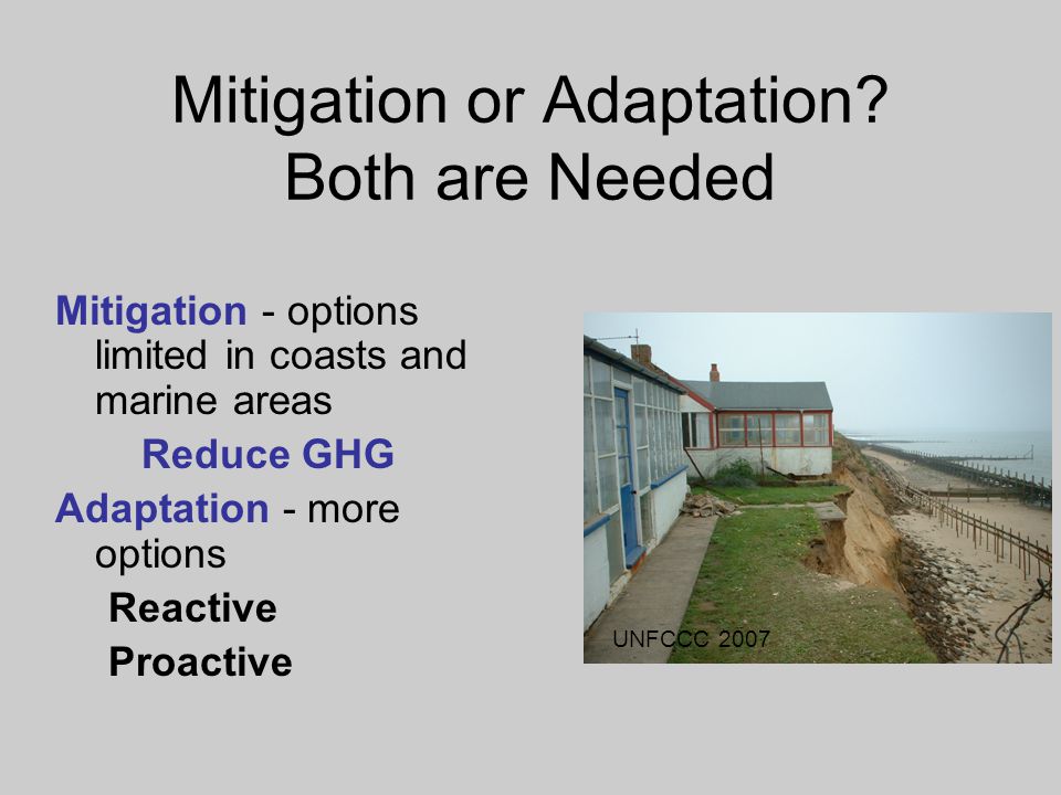 Mitigation or Adaptation.