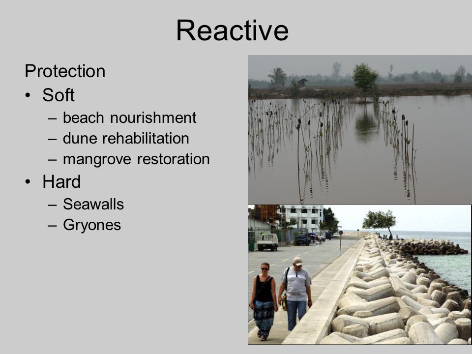 Reactive Protection Soft –beach nourishment –dune rehabilitation –mangrove restoration Hard –Seawalls –Gryones