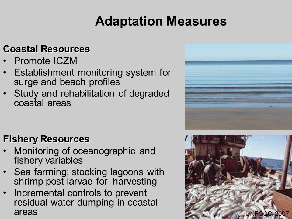 Adaptation Measures Coastal Resources Promote ICZM Establishment monitoring system for surge and beach profiles Study and rehabilitation of degraded coastal areas Fishery Resources Monitoring of oceanographic and fishery variables Sea farming: stocking lagoons with shrimp post larvae for harvesting Incremental controls to prevent residual water dumping in coastal areas UNFCCC 2007