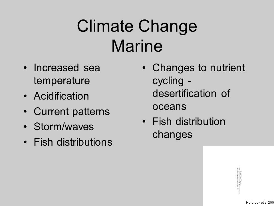Climate Change Marine Increased sea temperature Acidification Current patterns Storm/waves Fish distributions Changes to nutrient cycling - desertification of oceans Fish distribution changes Holbrook et al 2002