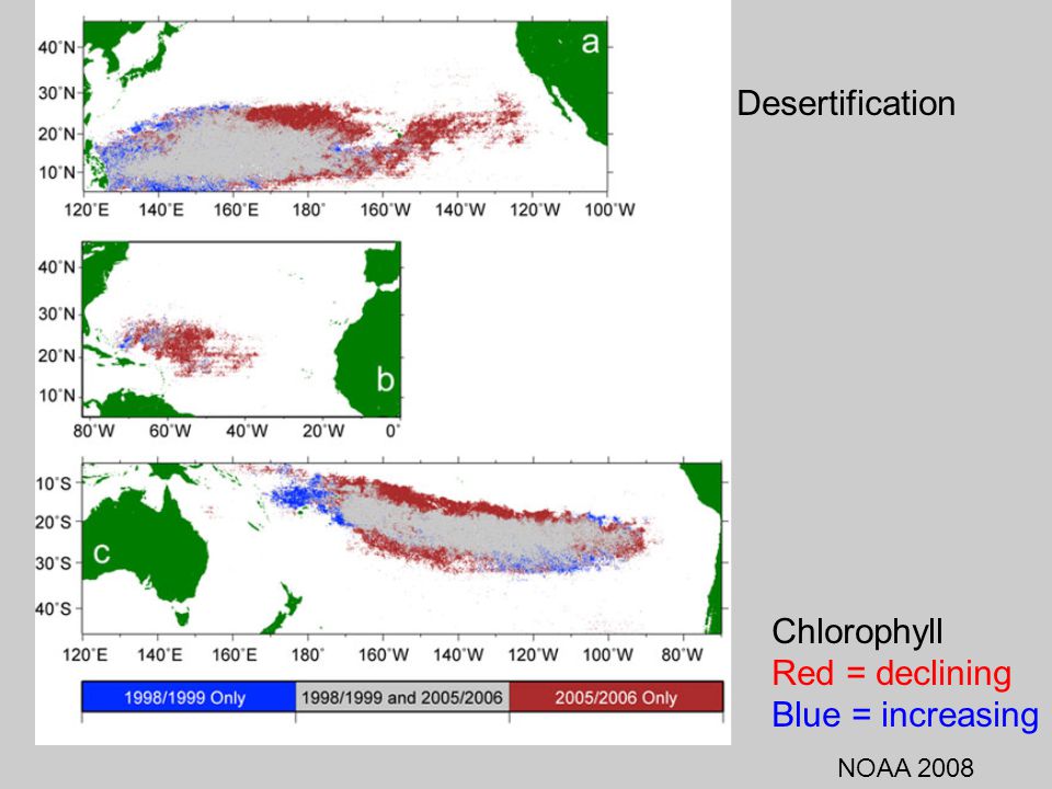 Chlorophyll Red = declining Blue = increasing Desertification NOAA 2008
