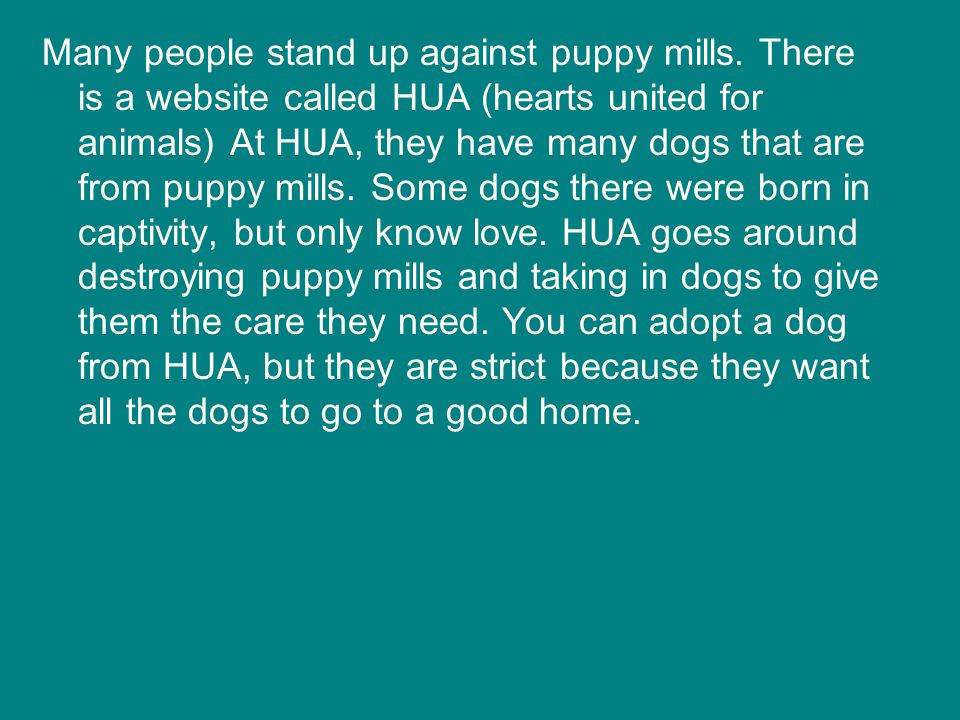 Many people stand up against puppy mills.