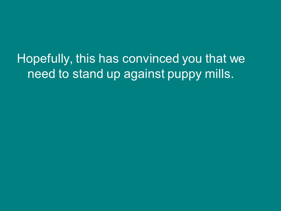 Hopefully, this has convinced you that we need to stand up against puppy mills.