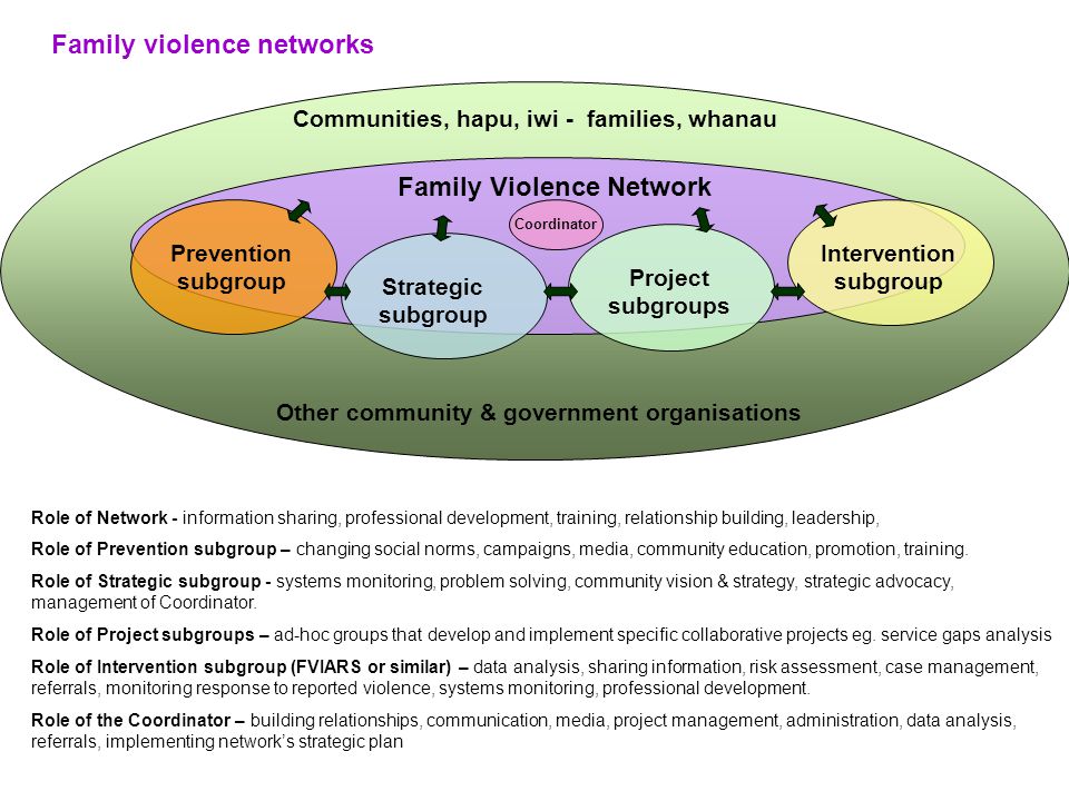 Family Violence Network Role of Network - information sharing, professional development, training, relationship building, leadership, Role of Prevention subgroup – changing social norms, campaigns, media, community education, promotion, training.