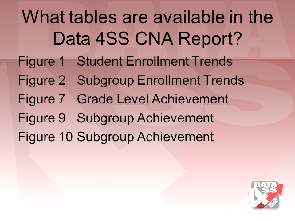 What tables are available in the Data 4SS CNA Report.