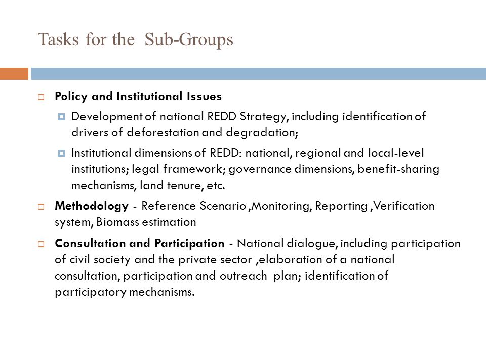 Tasks for the Sub-Groups  Policy and Institutional Issues  Development of national REDD Strategy, including identification of drivers of deforestation and degradation;  Institutional dimensions of REDD: national, regional and local-level institutions; legal framework; governance dimensions, benefit-sharing mechanisms, land tenure, etc.