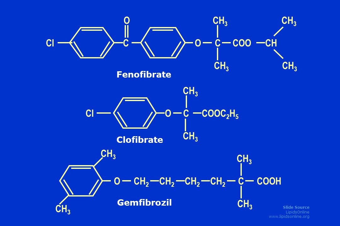 Slide Source LipidsOnline   CO O C CH 3 COOCH CH 3 Cl CH 3 OC COOC 2 H 5 CH 3 Cl CH 3 OCH 2 CH 3 COOH CH 3 C Fenofibrate Clofibrate Gemfibrozil