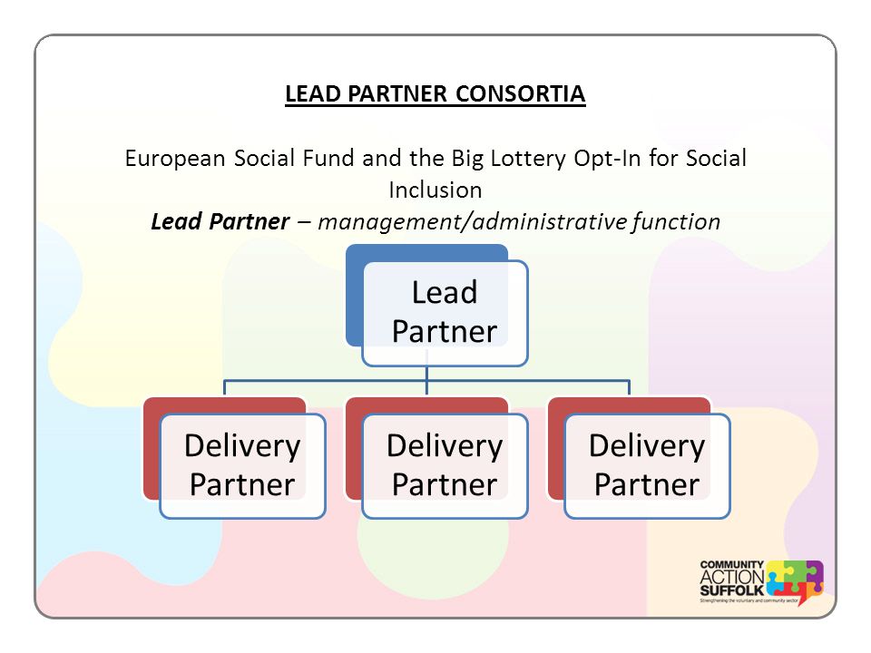 LEAD PARTNER CONSORTIA European Social Fund and the Big Lottery Opt-In for Social Inclusion Lead Partner – management/administrative function Lead Partner Delivery Partner