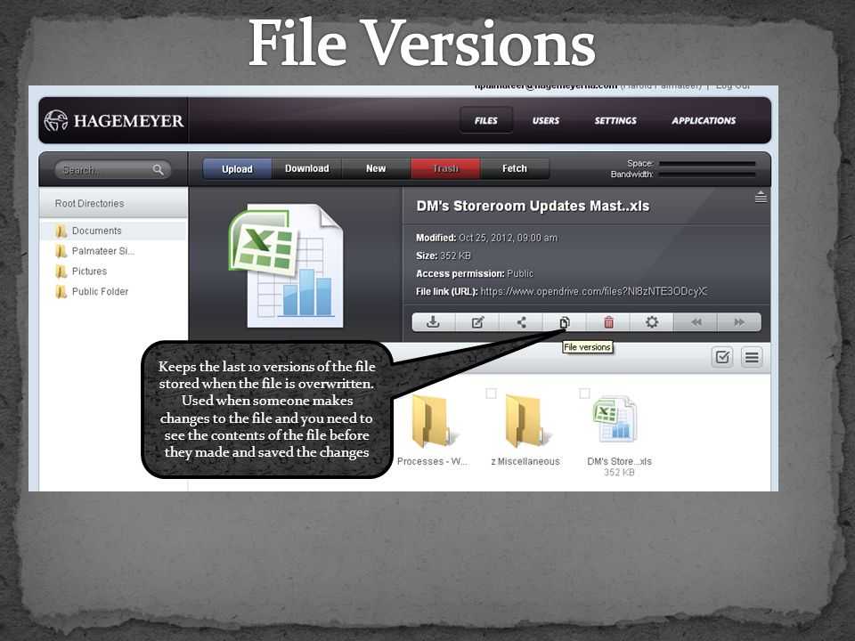 Keeps the last 10 versions of the file stored when the file is overwritten.