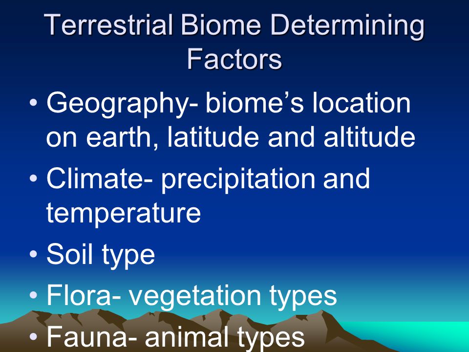 Terrestrial Biome Determining Factors Geography- biome’s location on earth, latitude and altitude Climate- precipitation and temperature Soil type Flora- vegetation types Fauna- animal types