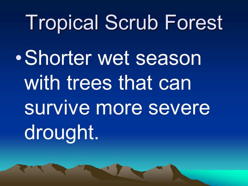 Tropical Scrub Forest Shorter wet season with trees that can survive more severe drought.