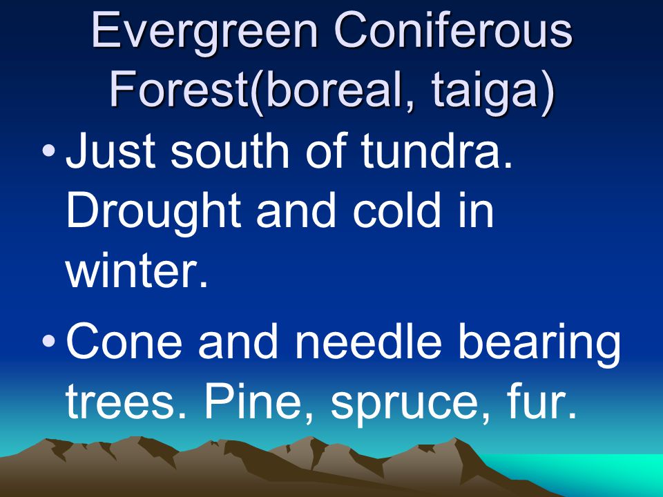 Evergreen Coniferous Forest(boreal, taiga) Just south of tundra.