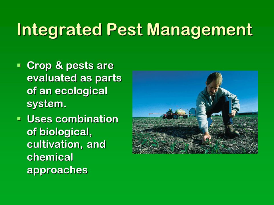 Integrated Pest Management  Crop & pests are evaluated as parts of an ecological system.