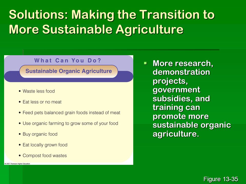 Solutions: Making the Transition to More Sustainable Agriculture  More research, demonstration projects, government subsidies, and training can promote more sustainable organic agriculture.