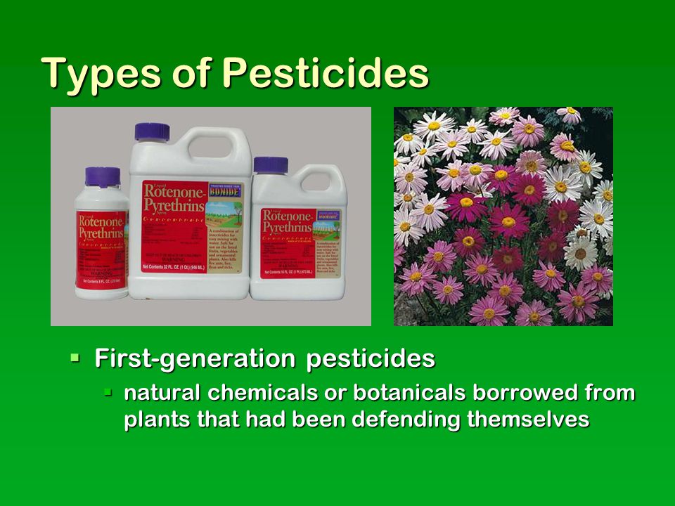 Types of Pesticides  First-generation pesticides  natural chemicals or botanicals borrowed from plants that had been defending themselves