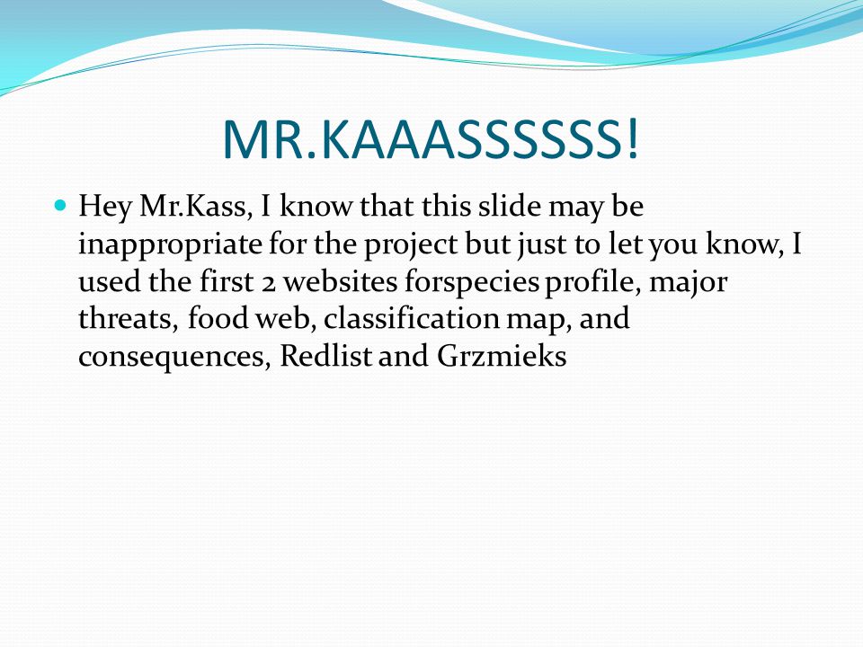 MR.KAAASSSSSS.