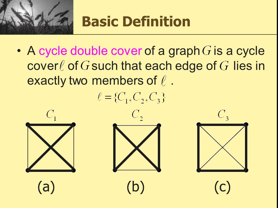 double cycle cover