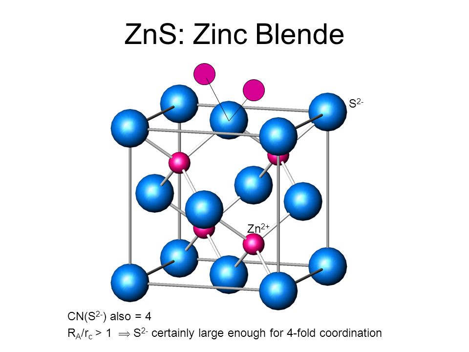 Qué hace el zinc en el cuerpo