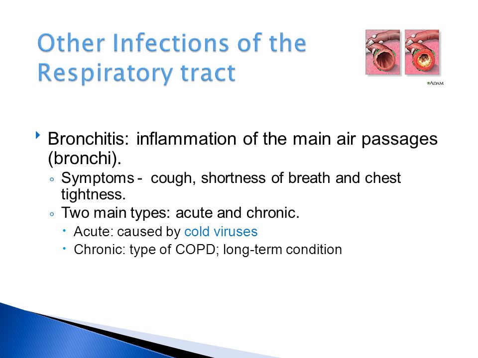  Bronchitis: inflammation of the main air passages (bronchi).