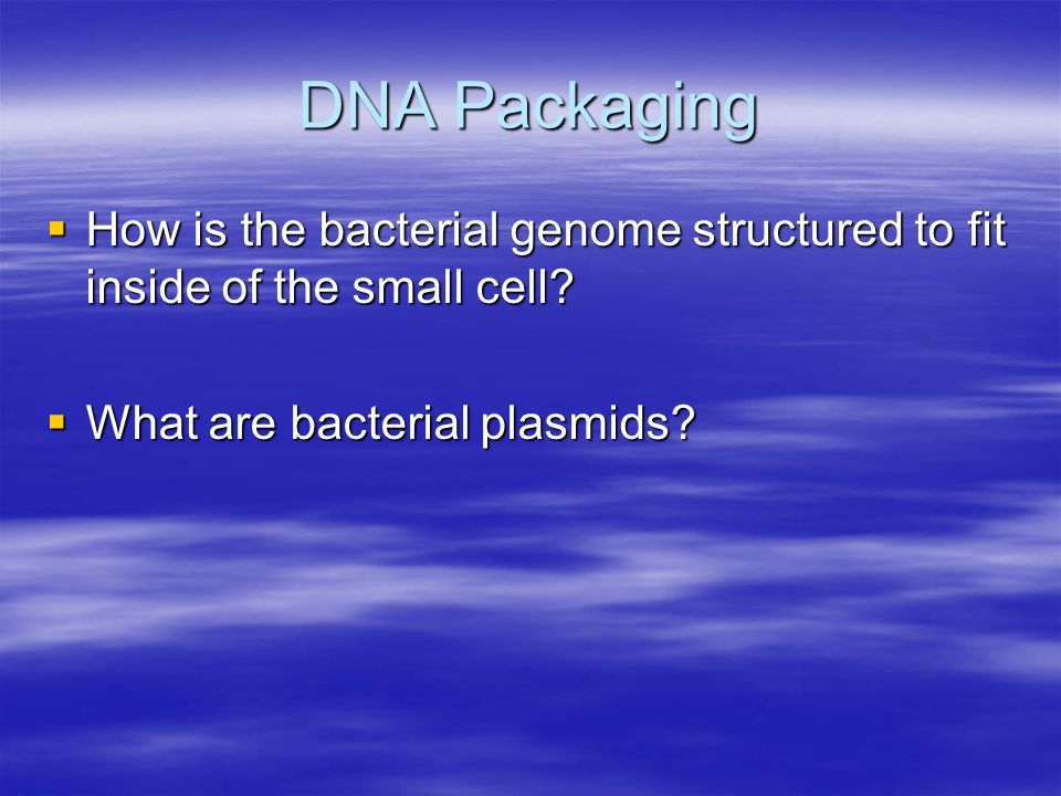DNA Packaging  How is the bacterial genome structured to fit inside of the small cell.