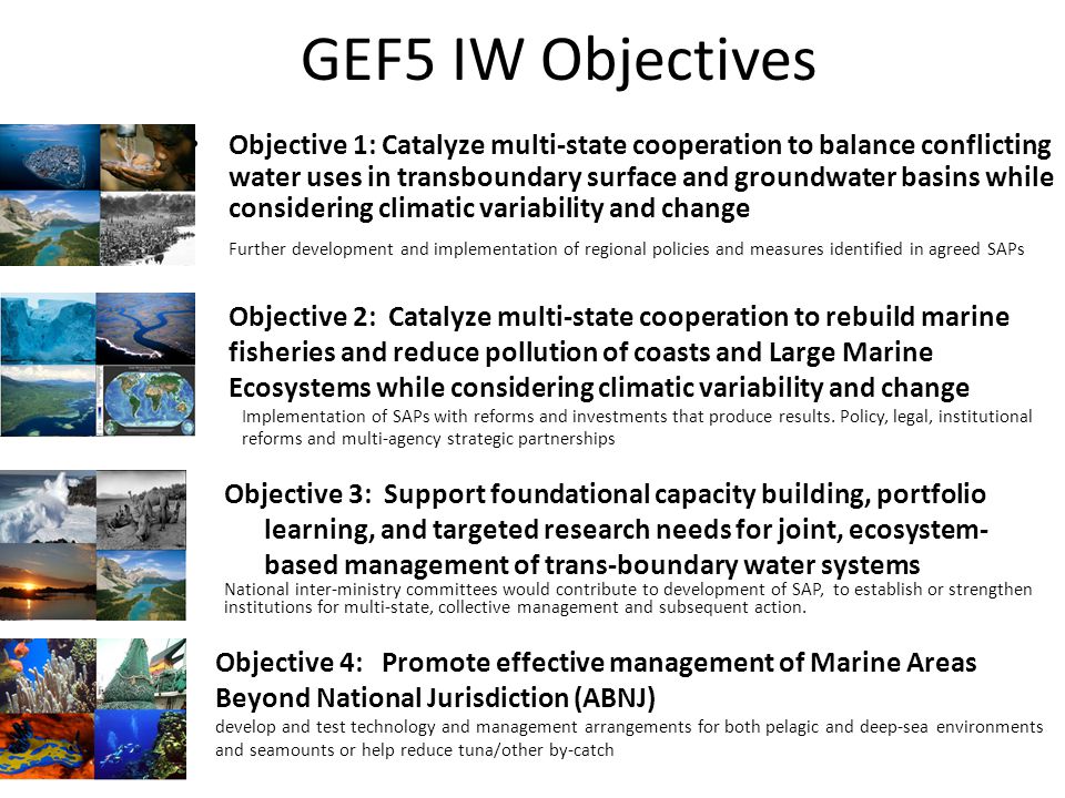 GEF5 IW Objectives Objective 1: Catalyze multi-state cooperation to balance conflicting water uses in transboundary surface and groundwater basins while considering climatic variability and change Further development and implementation of regional policies and measures identified in agreed SAPs Objective 4: Promote effective management of Marine Areas Beyond National Jurisdiction (ABNJ) develop and test technology and management arrangements for both pelagic and deep-sea environments and seamounts or help reduce tuna/other by-catch Objective 2: Catalyze multi-state cooperation to rebuild marine fisheries and reduce pollution of coasts and Large Marine Ecosystems while considering climatic variability and change Implementation of SAPs with reforms and investments that produce results.