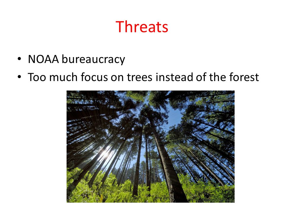Threats NOAA bureaucracy Too much focus on trees instead of the forest