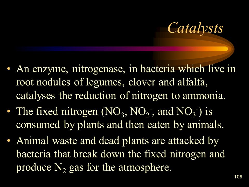 109 Catalysts An enzyme, nitrogenase, in bacteria which live in root nodules of legumes, clover and alfalfa, catalyses the reduction of nitrogen to ammonia.