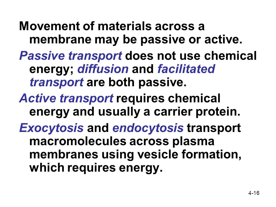 4-16 Movement of materials across a membrane may be passive or active.
