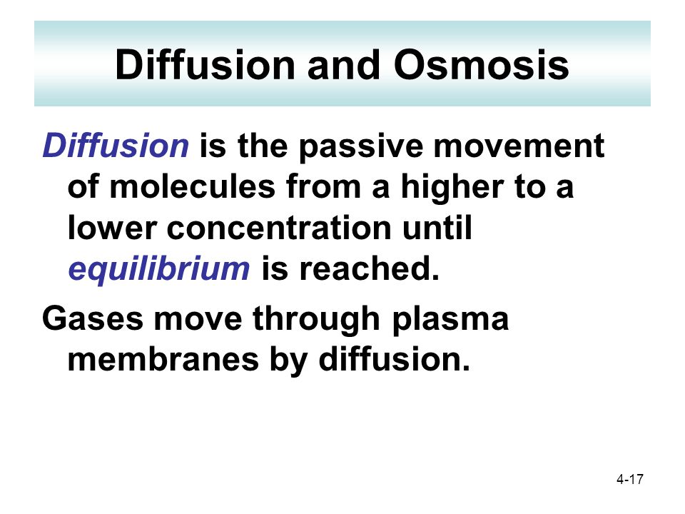 4-17 Diffusion and Osmosis Diffusion is the passive movement of molecules from a higher to a lower concentration until equilibrium is reached.