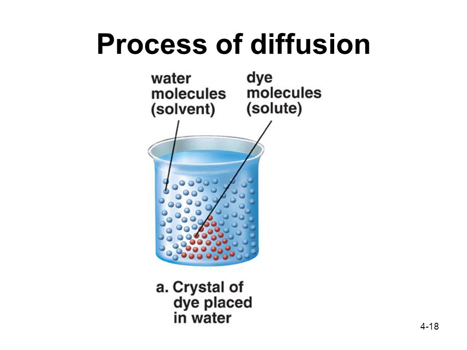 4-18 Process of diffusion